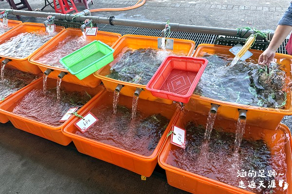 2025新北萬里蟹 – 野柳假日活蟹市集 ~ 剛下船的活跳跳新鮮萬里蟹就在這裡! 現蒸現吃,享受鮮甜蟹肉的美好滋味 - 第8張圖