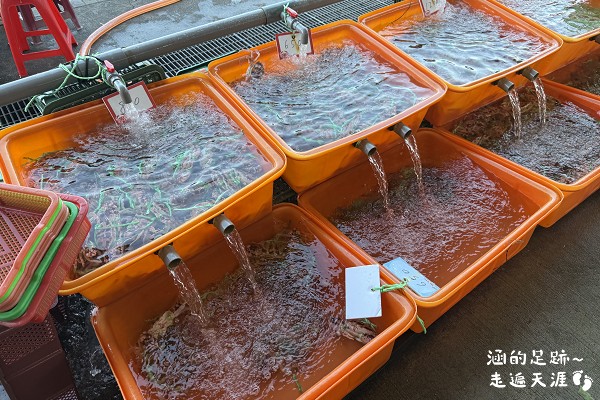 2025新北萬里蟹 – 野柳假日活蟹市集 ~ 剛下船的活跳跳新鮮萬里蟹就在這裡! 現蒸現吃,享受鮮甜蟹肉的美好滋味 - 第10張圖