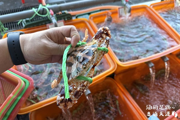 2025新北萬里蟹 – 野柳假日活蟹市集 ~ 剛下船的活跳跳新鮮萬里蟹就在這裡! 現蒸現吃,享受鮮甜蟹肉的美好滋味 - 第22張圖