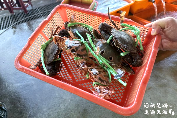 2025新北萬里蟹 – 野柳假日活蟹市集 ~ 剛下船的活跳跳新鮮萬里蟹就在這裡! 現蒸現吃,享受鮮甜蟹肉的美好滋味 - 第24張圖
