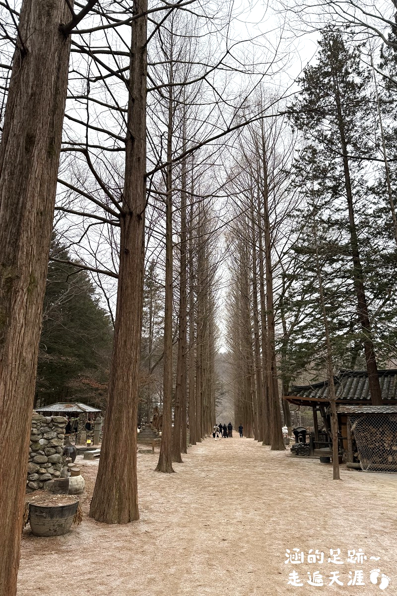 [日韓wifi機推薦] JetFi Mobile ~ 結合翻譯和wifi機的「飛譯通」1天只要$89元，最新「5G高速上網 WiFi分享器」，上網速度極快，最多可5人共享