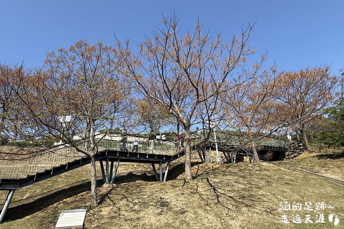 [台北北投景點] 2026北投社三層崎公園花海 ~ 2/11 – 3/15 「花願同行」台版富良野浪漫花海，「彩色浪花海」繽紛綻放中