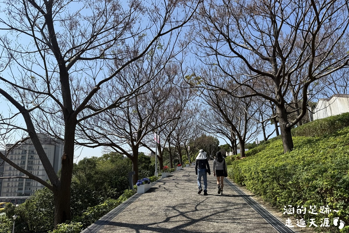 [台北北投景點] 2026北投社三層崎公園花海 ~ 2/11 – 3/15 「花願同行」台版富良野浪漫花海，「彩色浪花海」繽紛綻放中