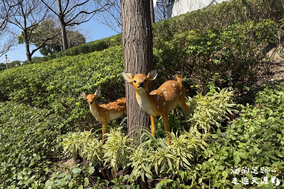 [台北北投景點] 2026北投社三層崎公園花海 ~ 2/11 – 3/15 「花願同行」台版富良野浪漫花海，「彩色浪花海」繽紛綻放中