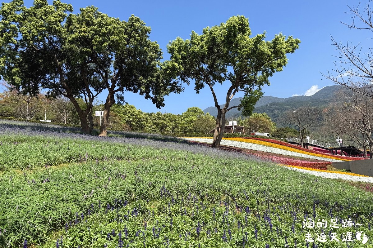[台北北投景點] 2026北投社三層崎公園花海 ~ 2/11 – 3/15 「花願同行」台版富良野浪漫花海，「彩色浪花海」繽紛綻放中