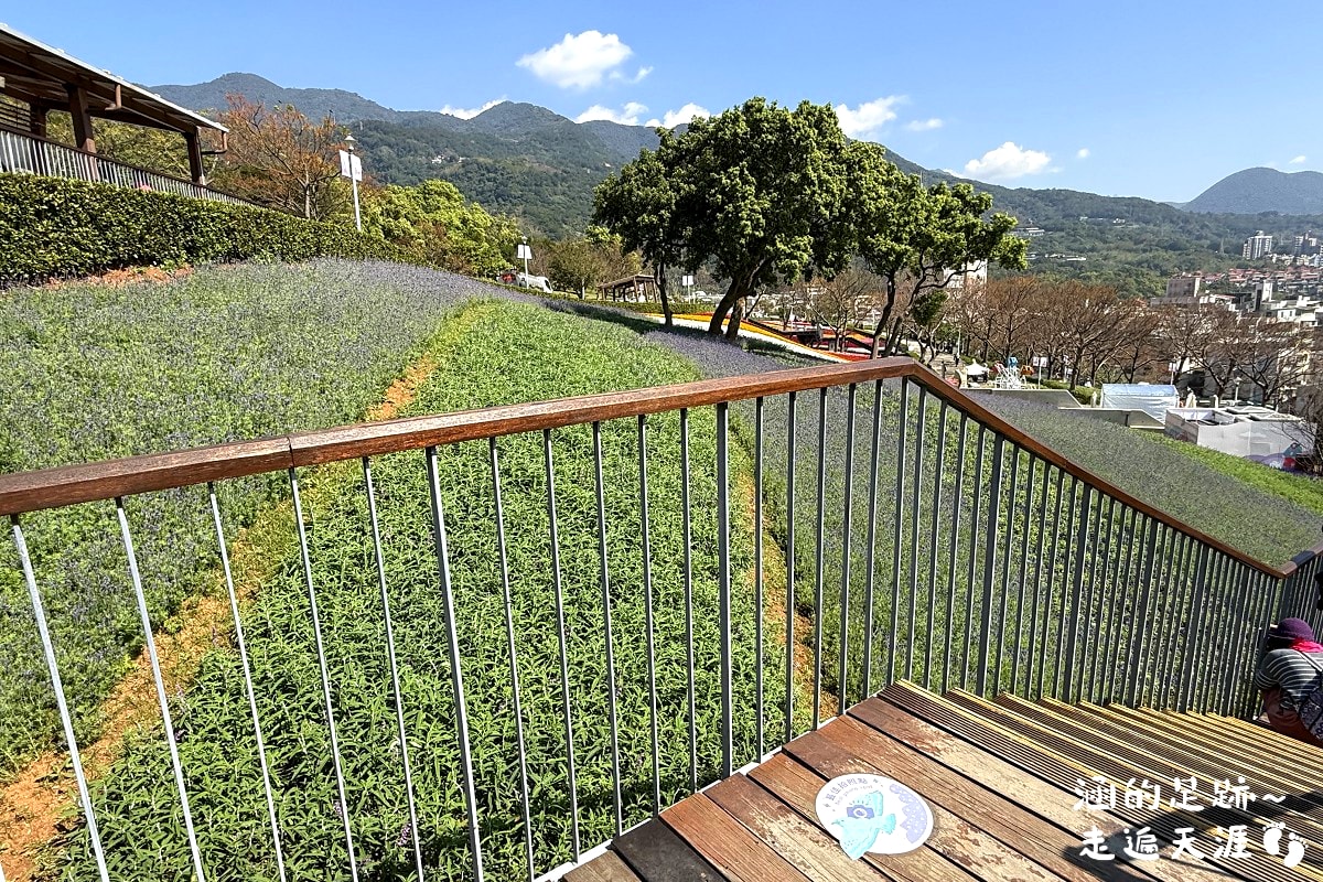 [台北北投景點] 2026北投社三層崎公園花海 ~ 2/11 – 3/15 「花願同行」台版富良野浪漫花海，「彩色浪花海」繽紛綻放中