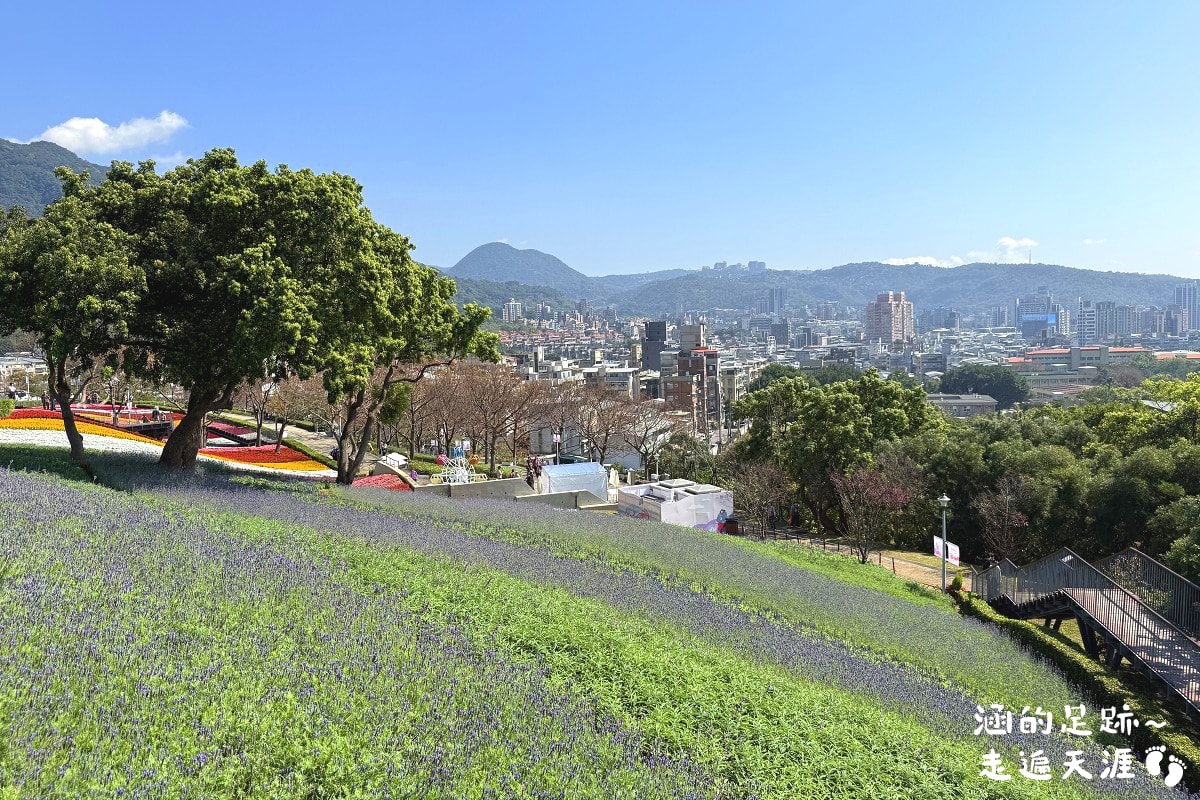 [台北北投景點] 2026北投社三層崎公園花海 ~ 2/11 – 3/15 「花願同行」台版富良野浪漫花海，「彩色浪花海」繽紛綻放中