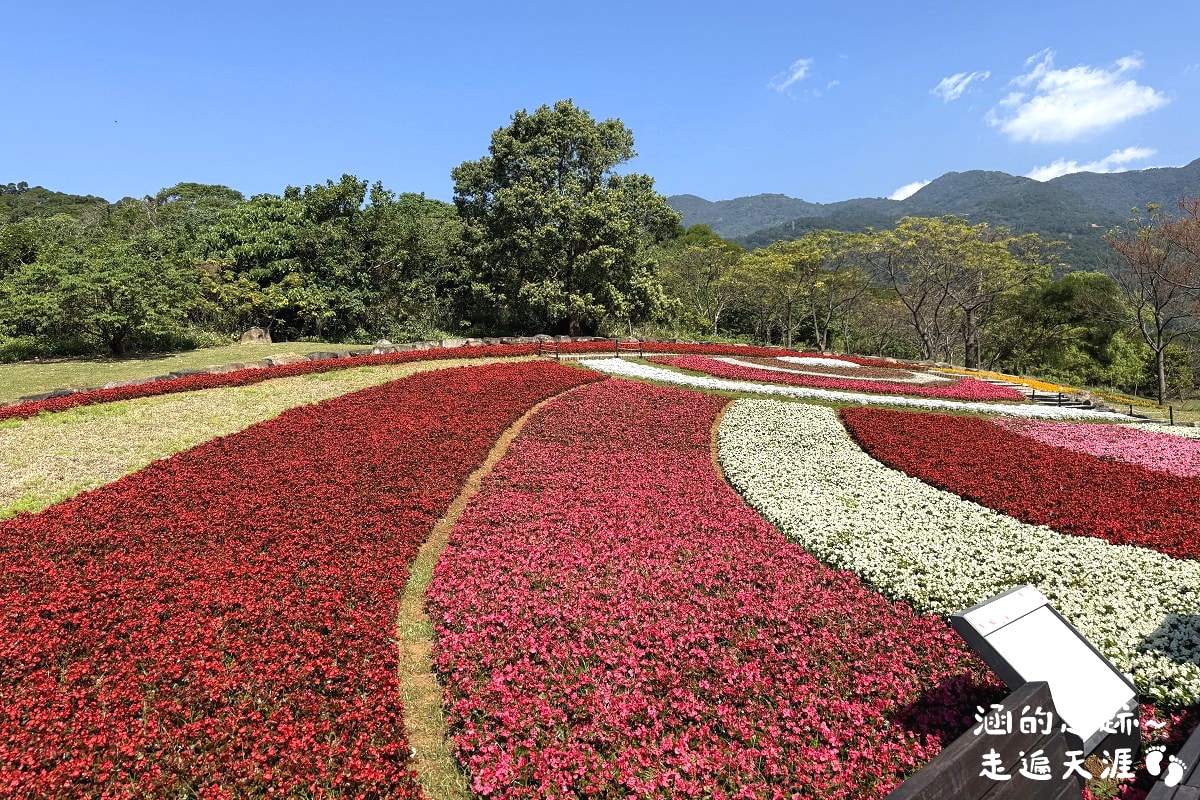 [台北北投景點] 2026北投社三層崎公園花海 ~ 2/11 – 3/15 「花願同行」台版富良野浪漫花海，「彩色浪花海」繽紛綻放中