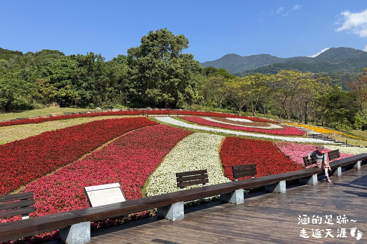 [台北北投景點] 2026北投社三層崎公園花海 ~ 2/11 – 3/15 「花願同行」台版富良野浪漫花海，「彩色浪花海」繽紛綻放中