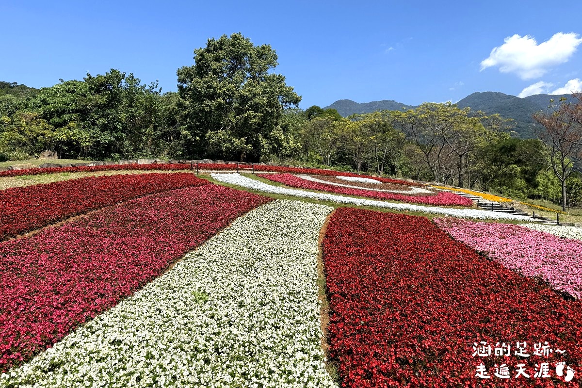 [台北北投景點] 2026北投社三層崎公園花海 ~ 2/11 – 3/15 「花願同行」台版富良野浪漫花海，「彩色浪花海」繽紛綻放中
