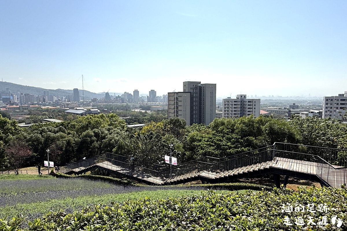 [台北北投景點] 2026北投社三層崎公園花海 ~ 2/11 – 3/15 「花願同行」台版富良野浪漫花海，「彩色浪花海」繽紛綻放中