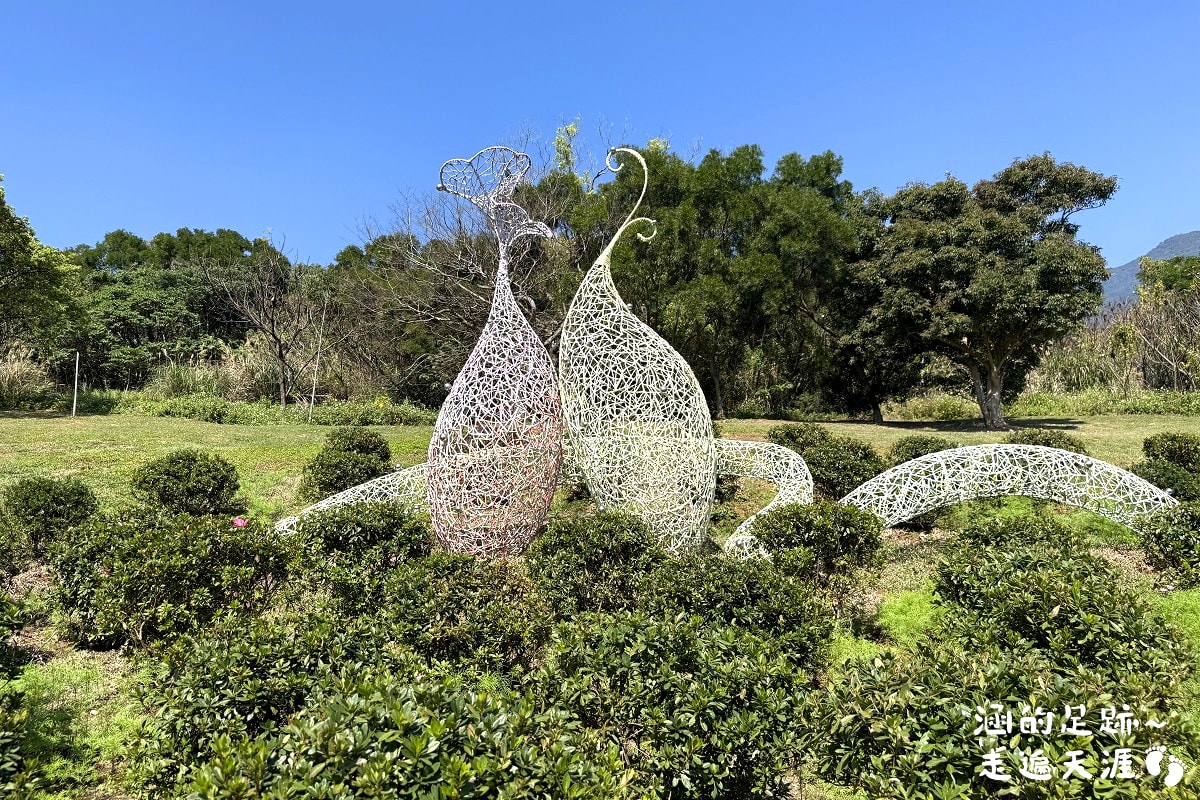 [台北北投景點] 2026北投社三層崎公園花海 ~ 2/11 – 3/15 「花願同行」台版富良野浪漫花海，「彩色浪花海」繽紛綻放中