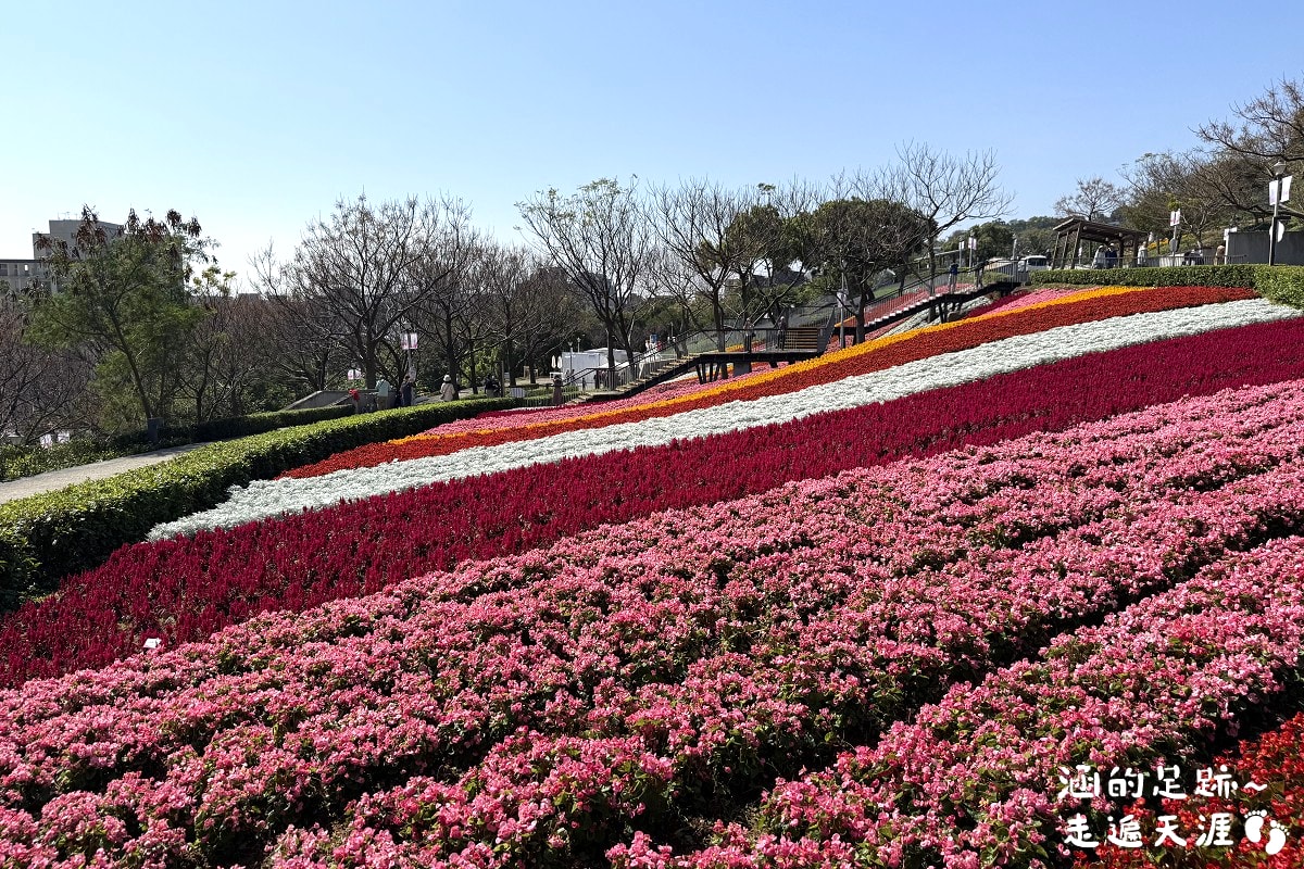 [台北北投景點] 2026北投社三層崎公園花海 ~ 2/11 – 3/15 「花願同行」台版富良野浪漫花海，「彩色浪花海」繽紛綻放中