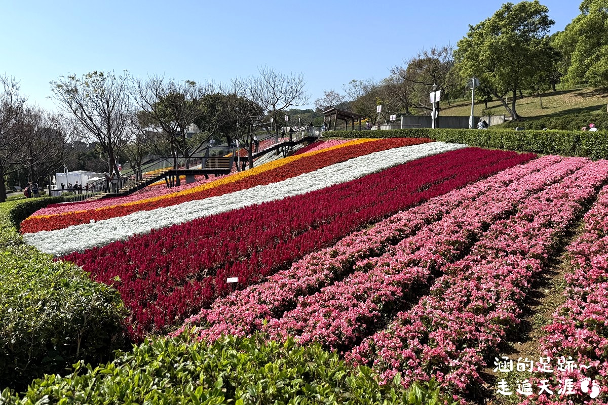 [台北北投景點] 2026北投社三層崎公園花海 ~ 2/11 – 3/15 「花願同行」台版富良野浪漫花海，「彩色浪花海」繽紛綻放中
