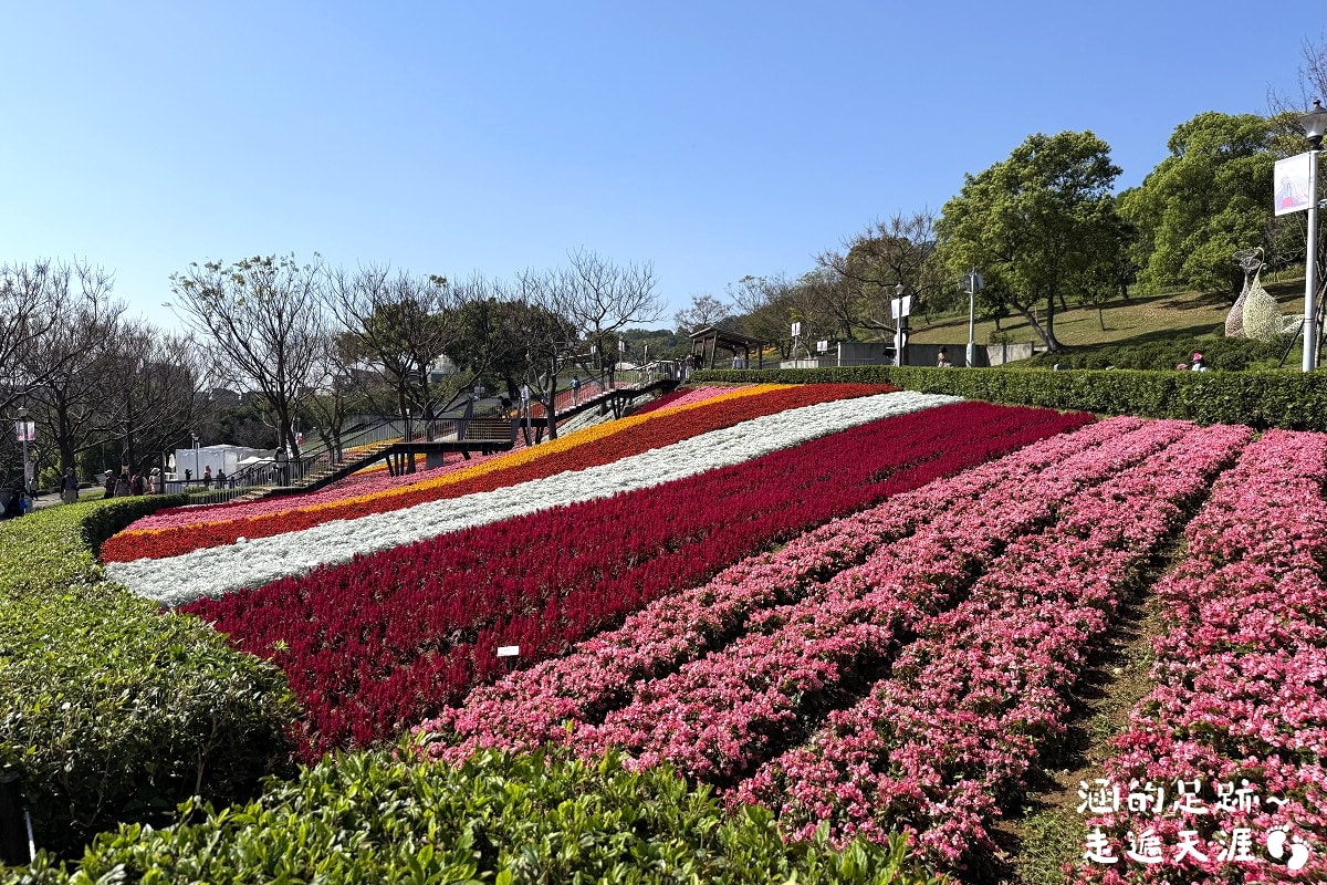 [台北北投景點] 2026北投社三層崎公園花海 ~ 2/11 – 3/15 「花願同行」台版富良野浪漫花海，「彩色浪花海」繽紛綻放中