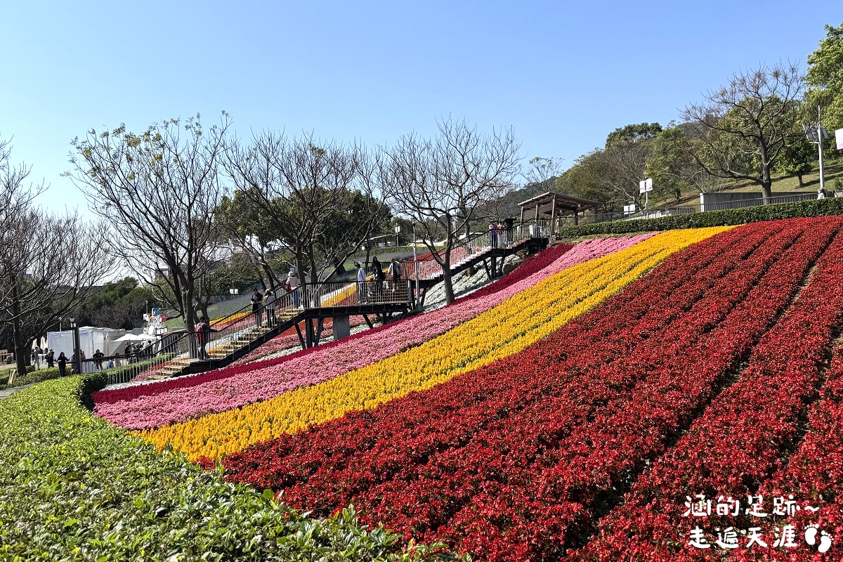 [台北北投景點] 2026北投社三層崎公園花海 ~ 2/11 – 3/15 「花願同行」台版富良野浪漫花海，「彩色浪花海」繽紛綻放中
