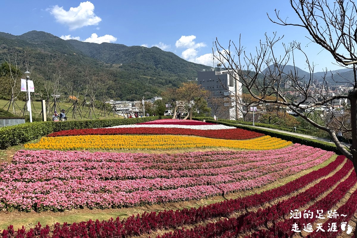 [台北北投景點] 2026北投社三層崎公園花海 ~ 2/11 – 3/15 「花願同行」台版富良野浪漫花海，「彩色浪花海」繽紛綻放中