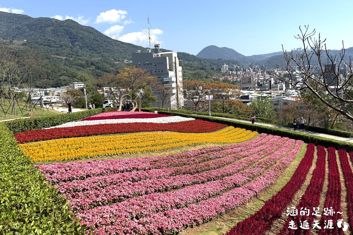 [台北北投景點] 2026北投社三層崎公園花海 ~ 2/11 – 3/15 「花願同行」台版富良野浪漫花海，「彩色浪花海」繽紛綻放中