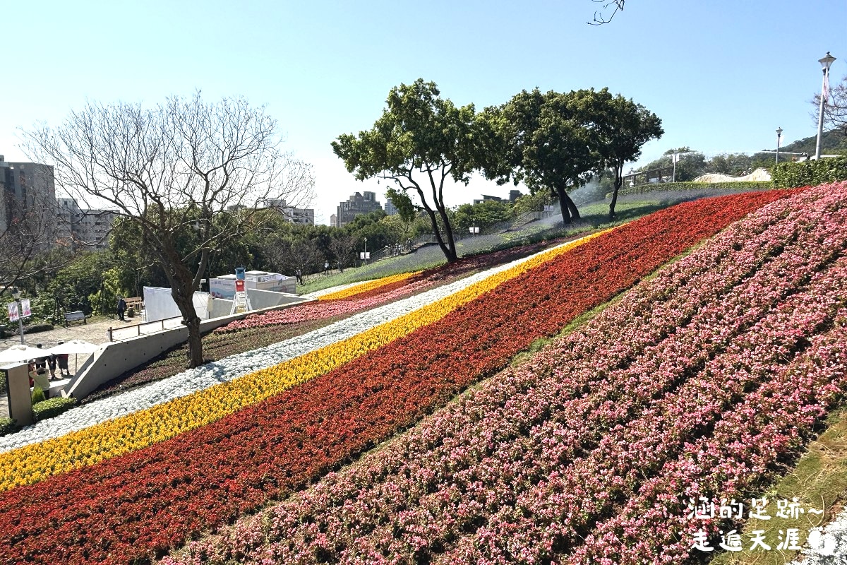 [台北北投景點] 2026北投社三層崎公園花海 ~ 2/11 – 3/15 「花願同行」台版富良野浪漫花海，「彩色浪花海」繽紛綻放中