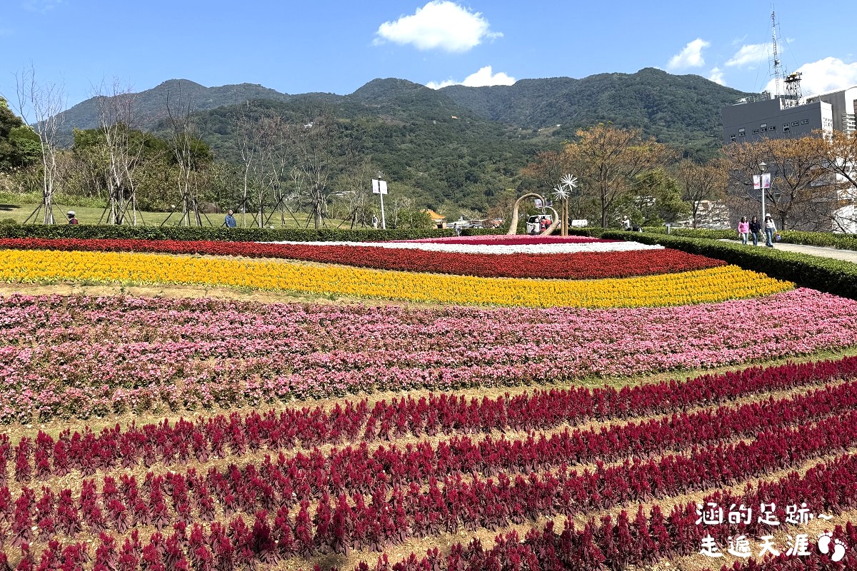 [台北北投景點] 2026北投社三層崎公園花海 ~ 2/11 – 3/15 「花願同行」台版富良野浪漫花海，「彩色浪花海」繽紛綻放中