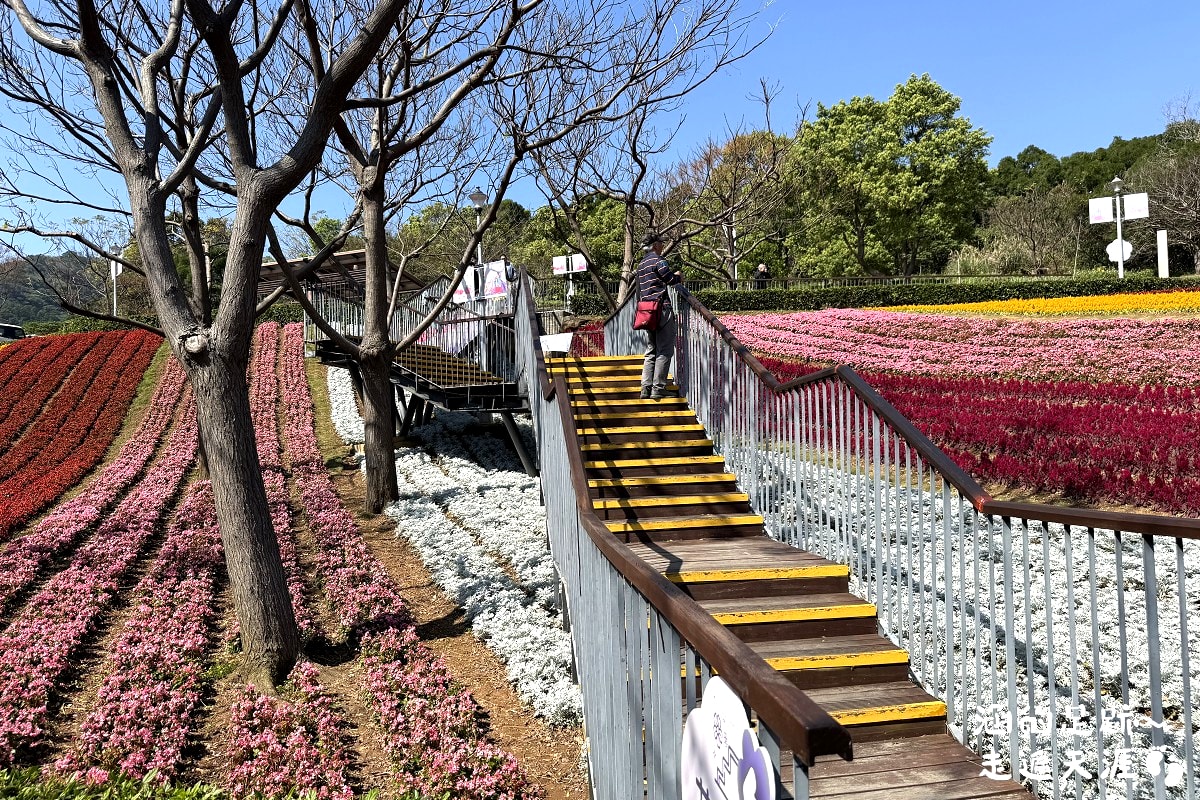 [台北北投景點] 2026北投社三層崎公園花海 ~ 2/11 – 3/15 「花願同行」台版富良野浪漫花海，「彩色浪花海」繽紛綻放中