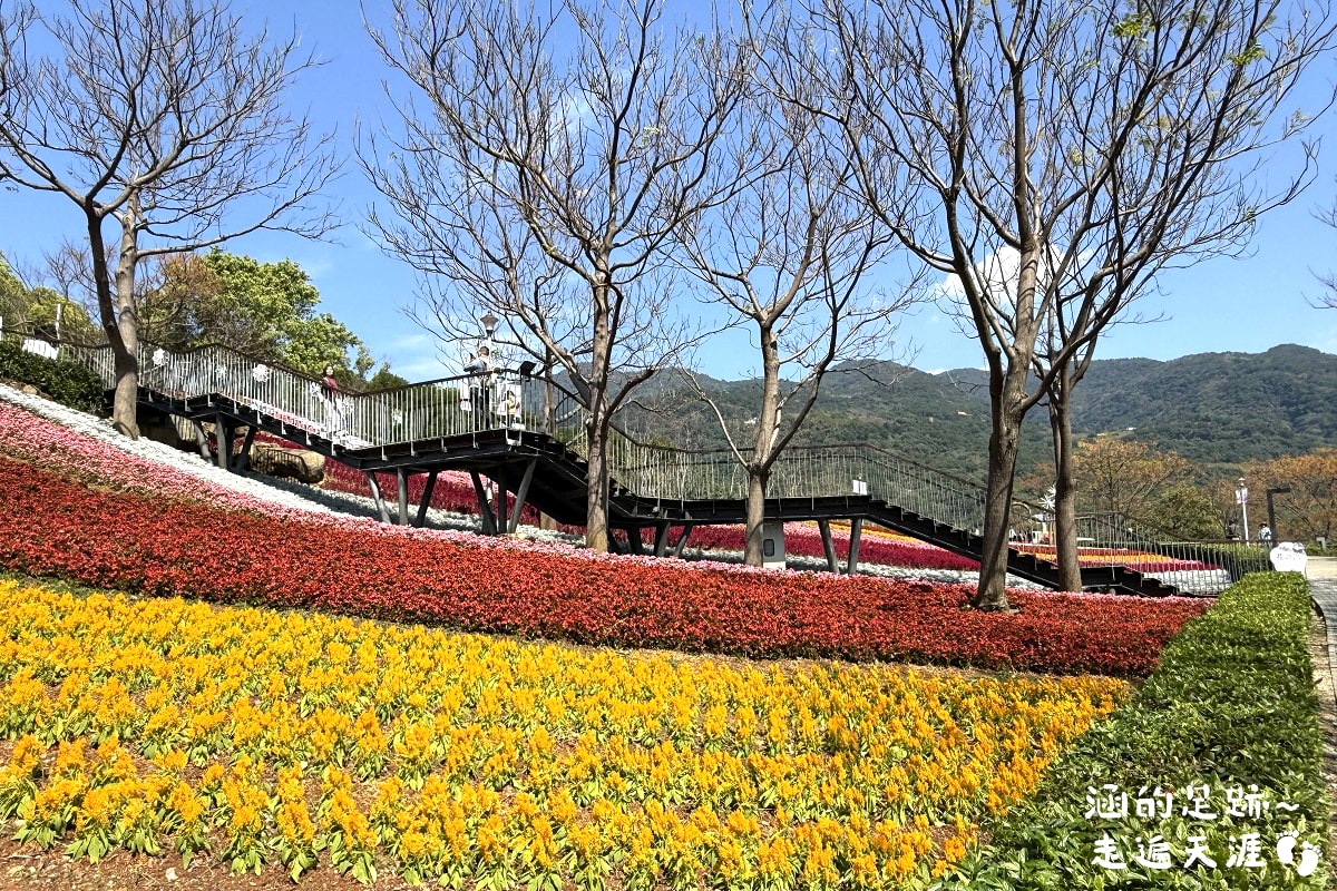 [台北北投景點] 2026北投社三層崎公園花海 ~ 2/11 – 3/15 「花願同行」台版富良野浪漫花海，「彩色浪花海」繽紛綻放中