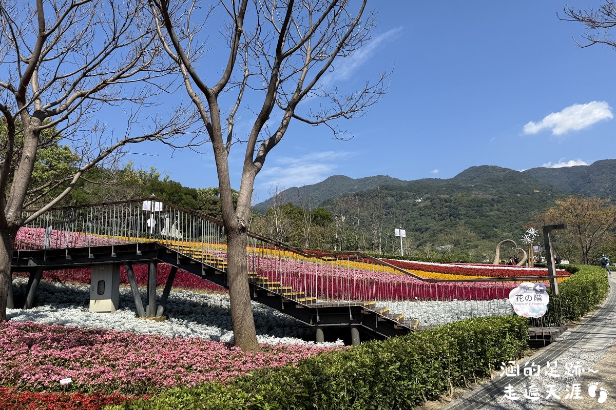 [台北北投景點] 2026北投社三層崎公園花海 ~ 2/11 – 3/15 「花願同行」台版富良野浪漫花海，「彩色浪花海」繽紛綻放中