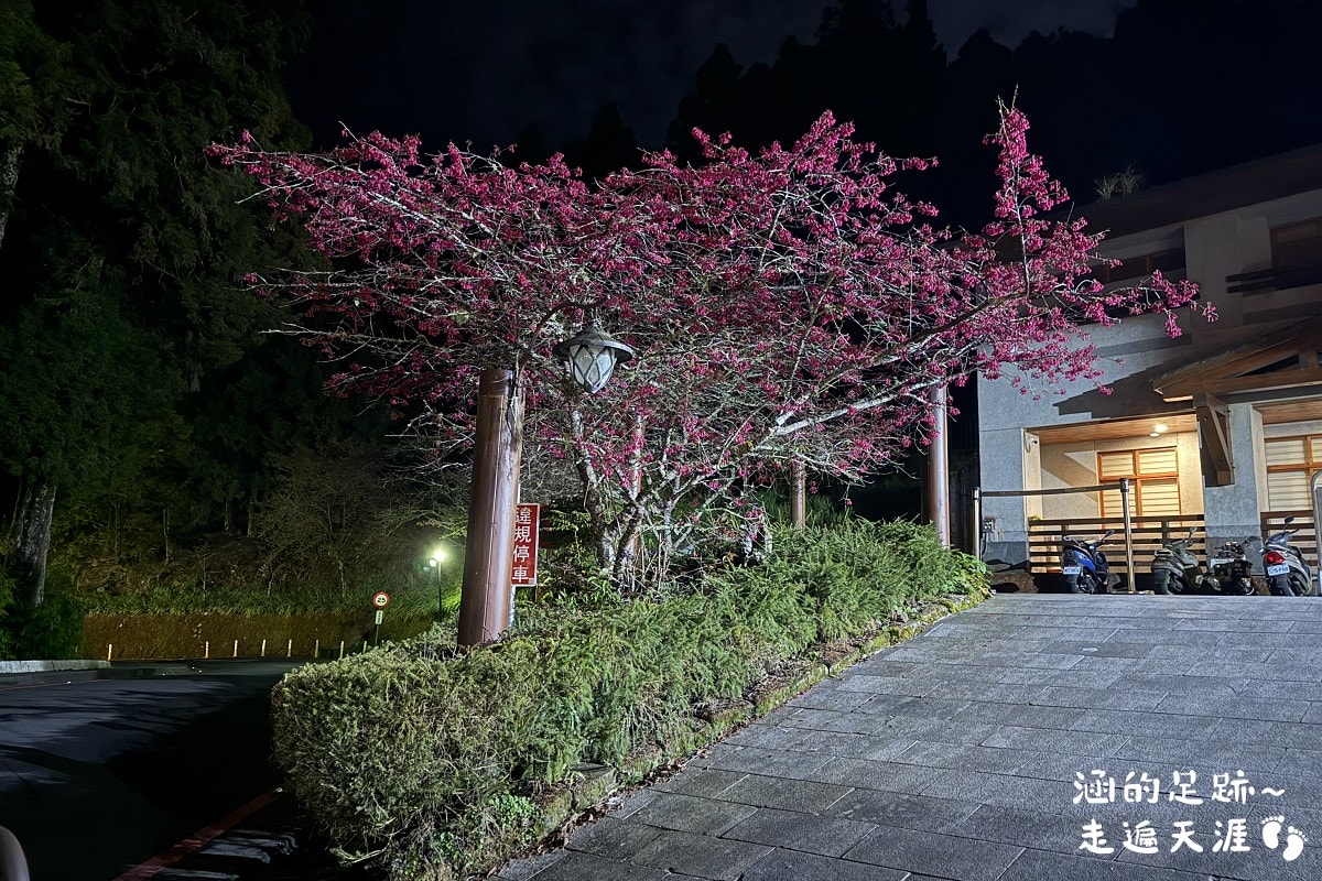 [阿里山]日出・奮起湖 阿里山夜未眠 ~ 參加國光威樂假期，24小時輕鬆遊阿里山，搭祝山小火車看日出、雲海，漫步阿里山森林遊樂區