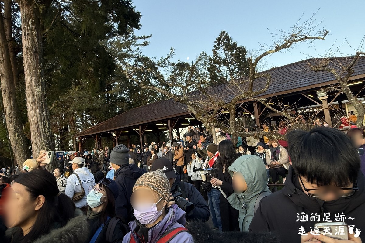 [阿里山]日出・奮起湖 阿里山夜未眠 ~ 參加國光威樂假期，24小時輕鬆遊阿里山，搭祝山小火車看日出、雲海，漫步阿里山森林遊樂區