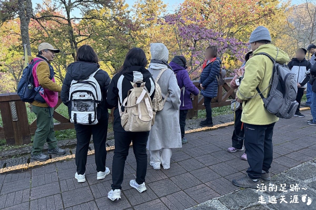 [阿里山]日出・奮起湖 阿里山夜未眠 ~ 參加國光威樂假期，24小時輕鬆遊阿里山，搭祝山小火車看日出、雲海，漫步阿里山森林遊樂區