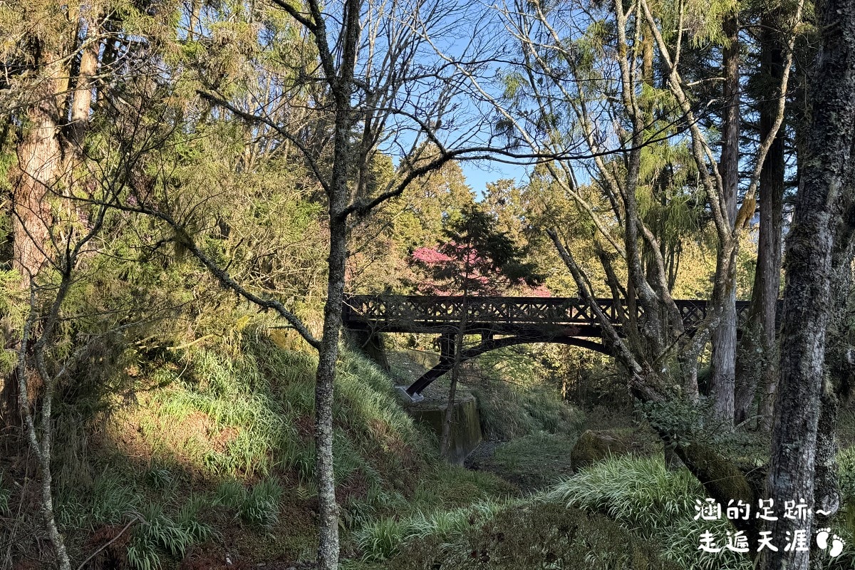 [阿里山]日出・奮起湖 阿里山夜未眠 ~ 參加國光威樂假期，24小時輕鬆遊阿里山，搭祝山小火車看日出、雲海，漫步阿里山森林遊樂區