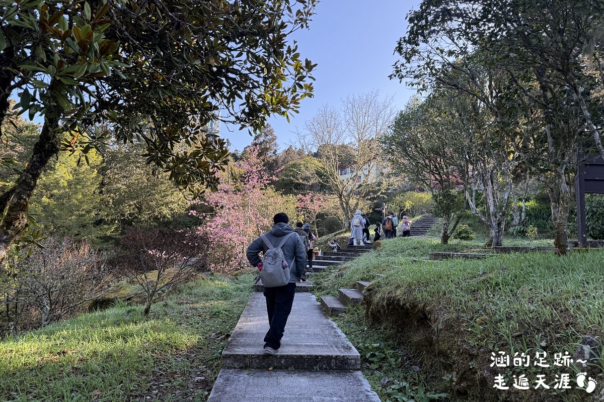 [阿里山]日出・奮起湖 阿里山夜未眠 ~ 參加國光威樂假期，24小時輕鬆遊阿里山，搭祝山小火車看日出、雲海，漫步阿里山森林遊樂區