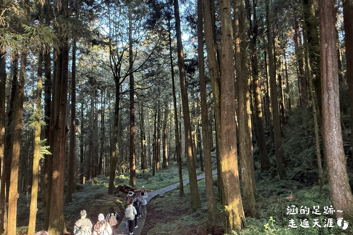 [阿里山]日出・奮起湖 阿里山夜未眠 ~ 參加國光威樂假期，24小時輕鬆遊阿里山，搭祝山小火車看日出、雲海，漫步阿里山森林遊樂區