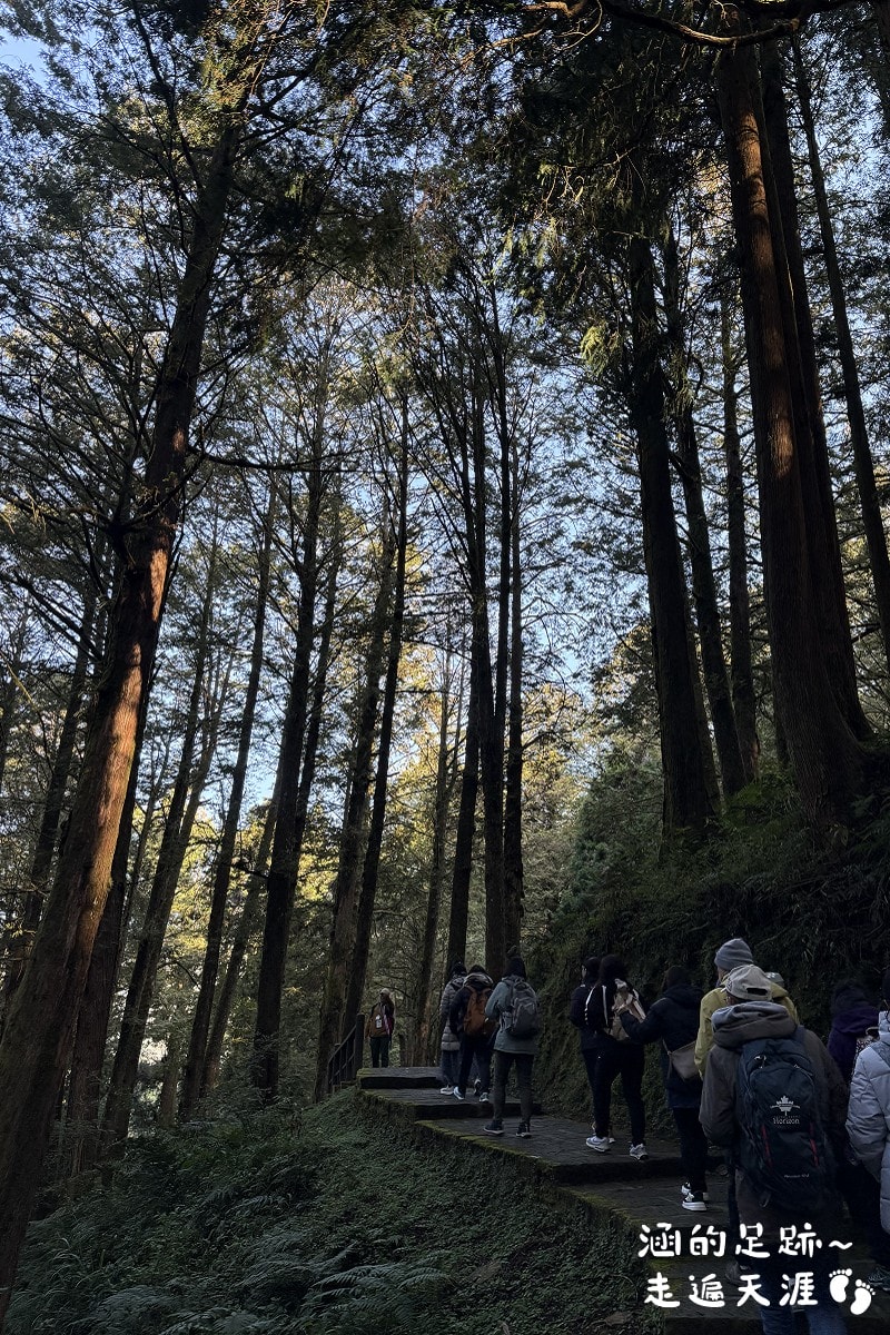 [阿里山]日出・奮起湖 阿里山夜未眠 ~ 參加國光威樂假期，24小時輕鬆遊阿里山，搭祝山小火車看日出、雲海，漫步阿里山森林遊樂區
