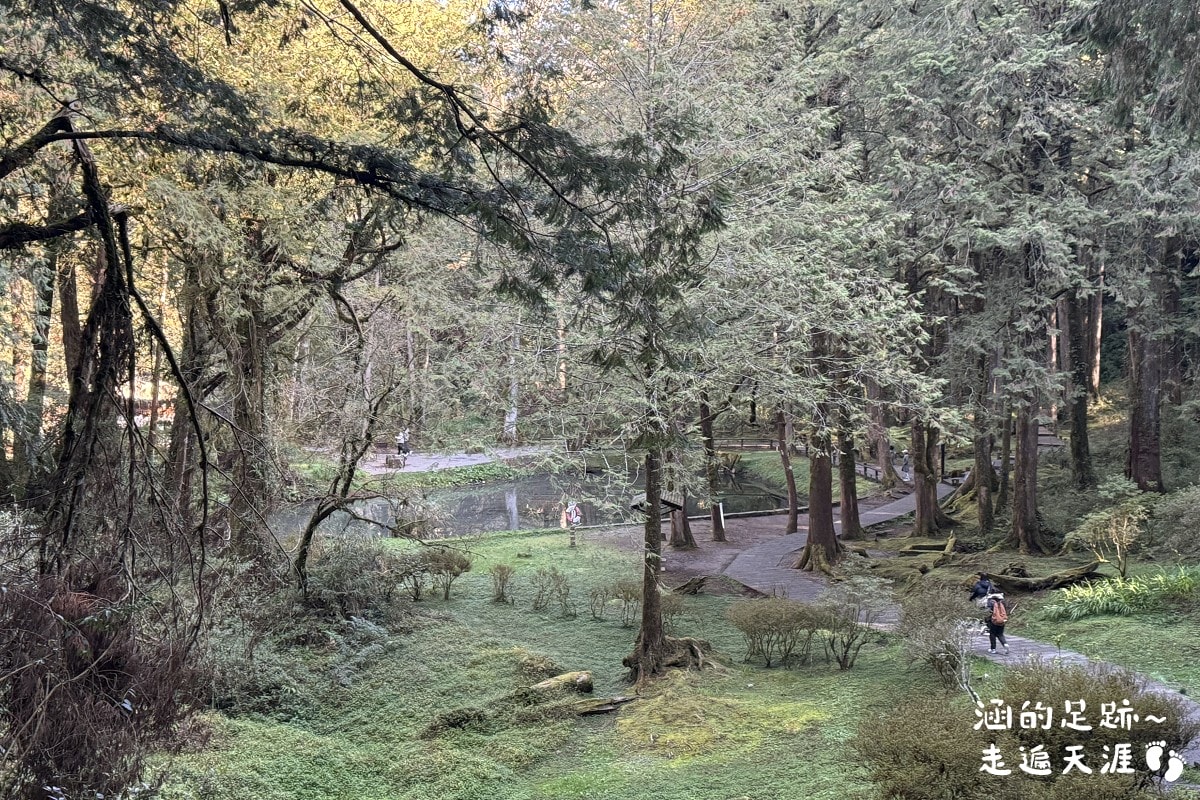 [阿里山]日出・奮起湖 阿里山夜未眠 ~ 參加國光威樂假期，24小時輕鬆遊阿里山，搭祝山小火車看日出、雲海，漫步阿里山森林遊樂區