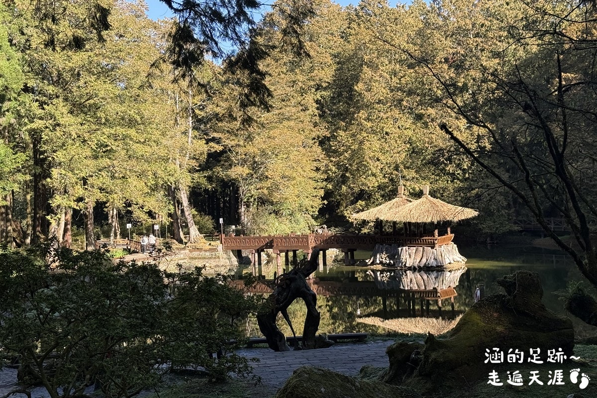[阿里山]日出・奮起湖 阿里山夜未眠 ~ 參加國光威樂假期，24小時輕鬆遊阿里山，搭祝山小火車看日出、雲海，漫步阿里山森林遊樂區