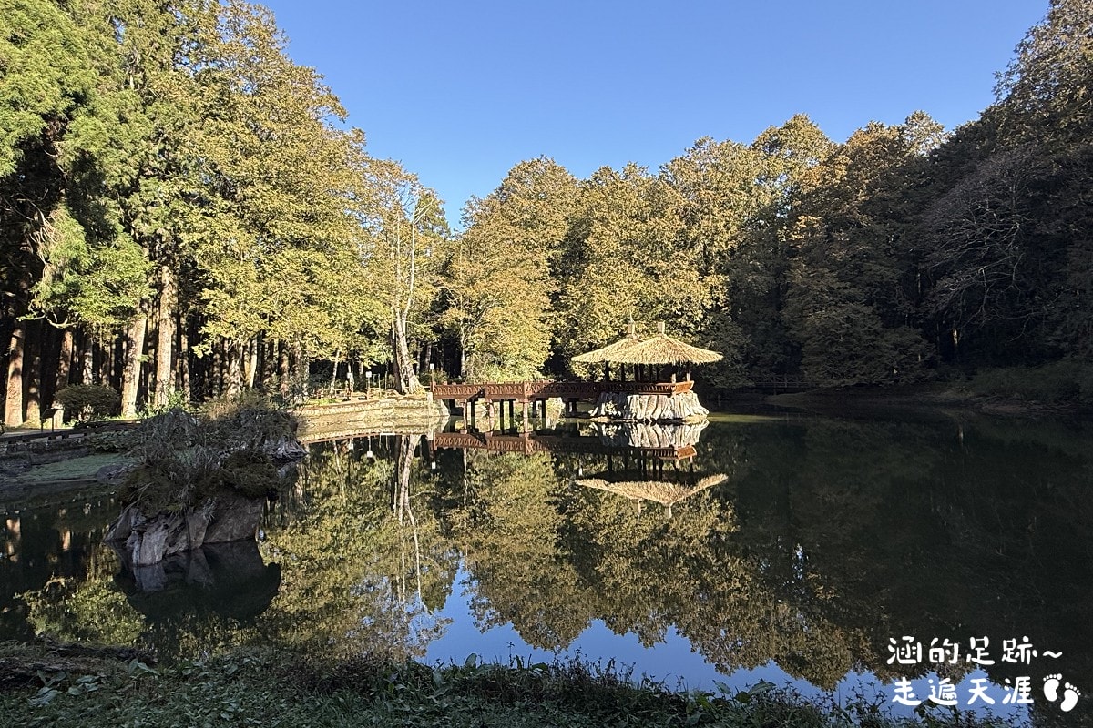 [阿里山]日出・奮起湖 阿里山夜未眠 ~ 參加國光威樂假期，24小時輕鬆遊阿里山，搭祝山小火車看日出、雲海，漫步阿里山森林遊樂區