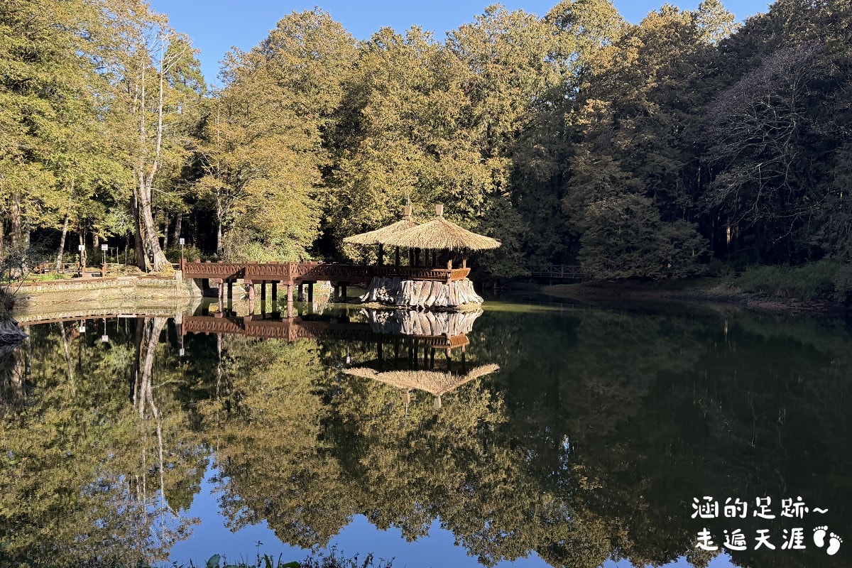 [阿里山]日出・奮起湖 阿里山夜未眠 ~ 參加國光威樂假期，24小時輕鬆遊阿里山，搭祝山小火車看日出、雲海，漫步阿里山森林遊樂區