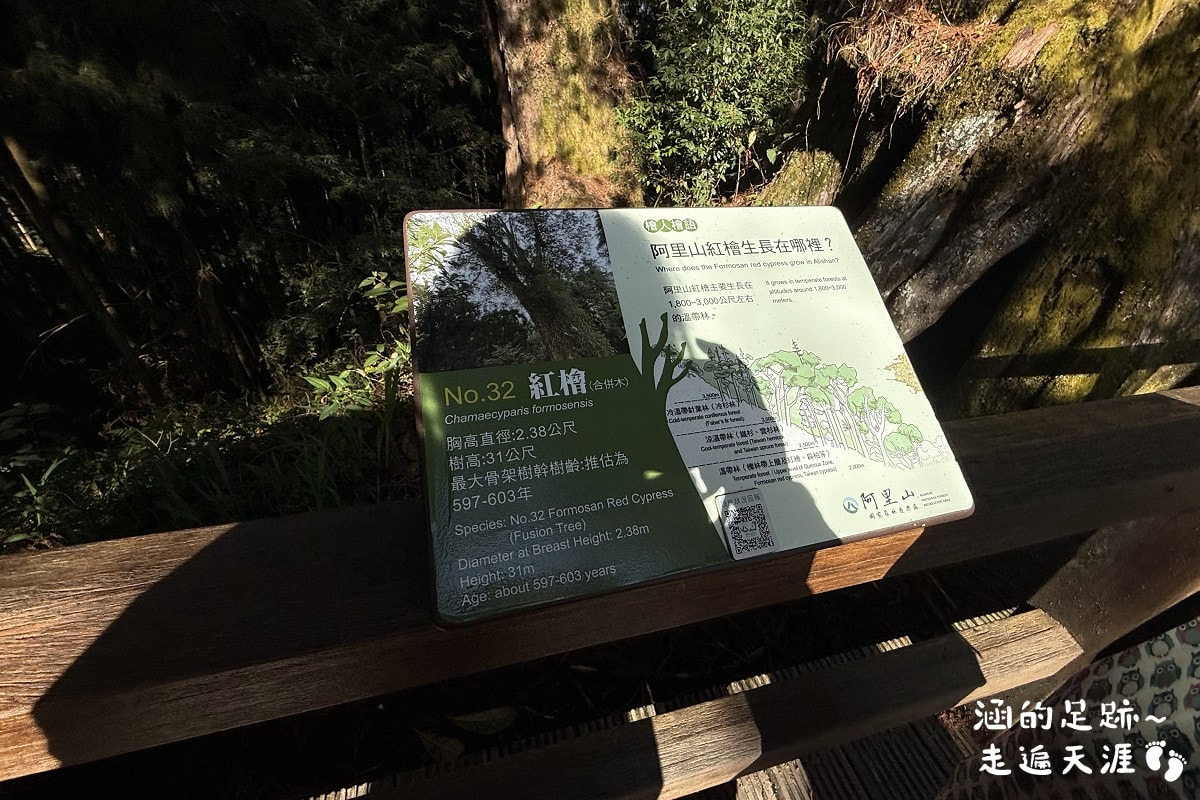 [阿里山]日出・奮起湖 阿里山夜未眠 ~ 參加國光威樂假期，24小時輕鬆遊阿里山，搭祝山小火車看日出、雲海，漫步阿里山森林遊樂區