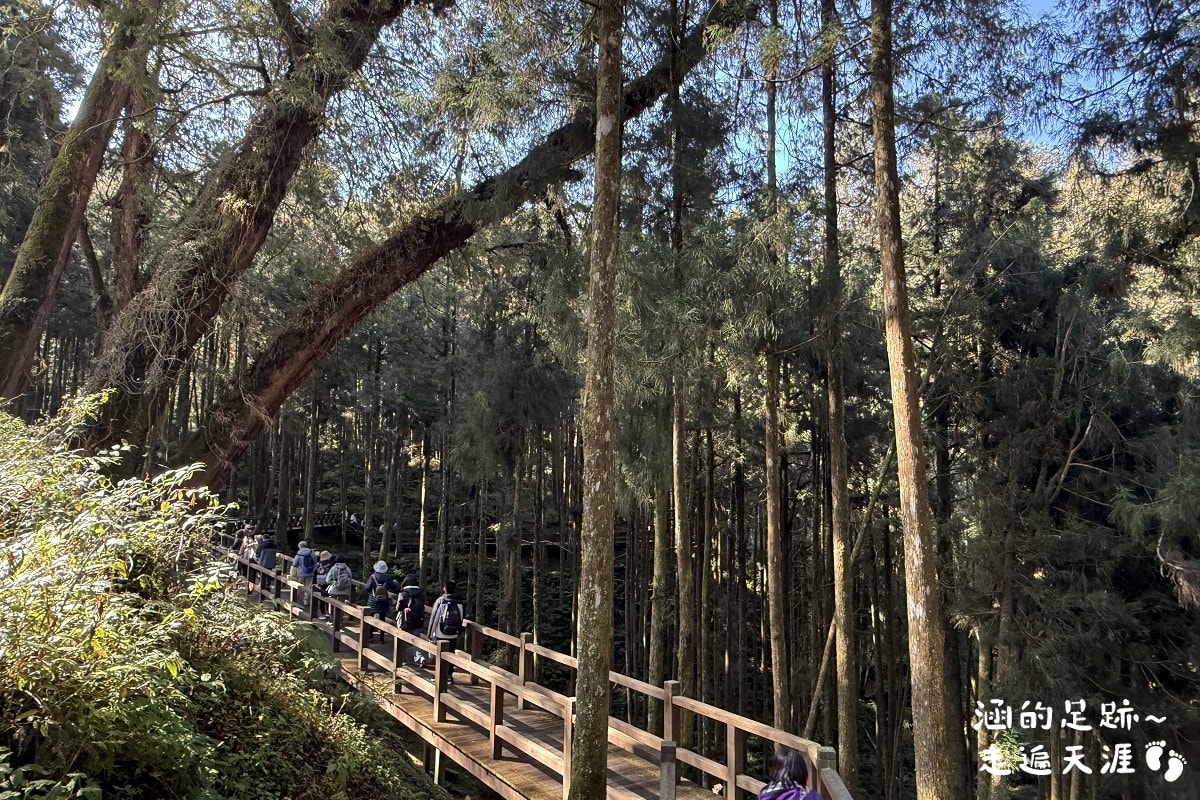 [阿里山]日出・奮起湖 阿里山夜未眠 ~ 參加國光威樂假期，24小時輕鬆遊阿里山，搭祝山小火車看日出、雲海，漫步阿里山森林遊樂區