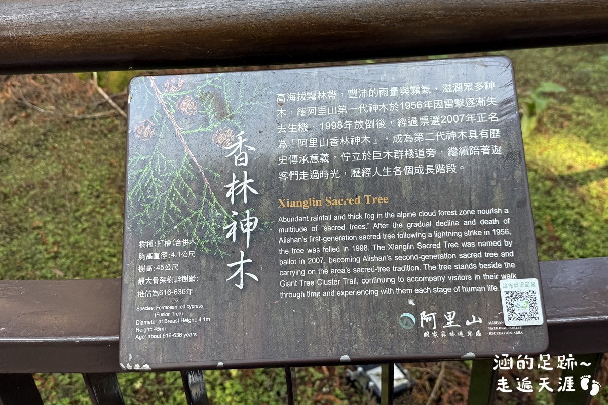[阿里山]日出・奮起湖 阿里山夜未眠 ~ 參加國光威樂假期，24小時輕鬆遊阿里山，搭祝山小火車看日出、雲海，漫步阿里山森林遊樂區