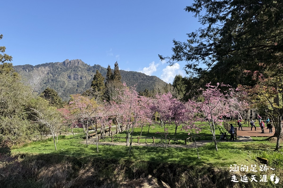 [阿里山]日出・奮起湖 阿里山夜未眠 ~ 參加國光威樂假期，24小時輕鬆遊阿里山，搭祝山小火車看日出、雲海，漫步阿里山森林遊樂區