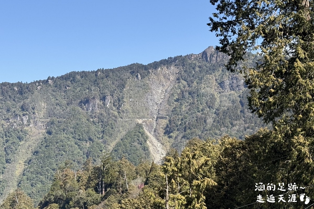 [阿里山]日出・奮起湖 阿里山夜未眠 ~ 參加國光威樂假期，24小時輕鬆遊阿里山，搭祝山小火車看日出、雲海，漫步阿里山森林遊樂區