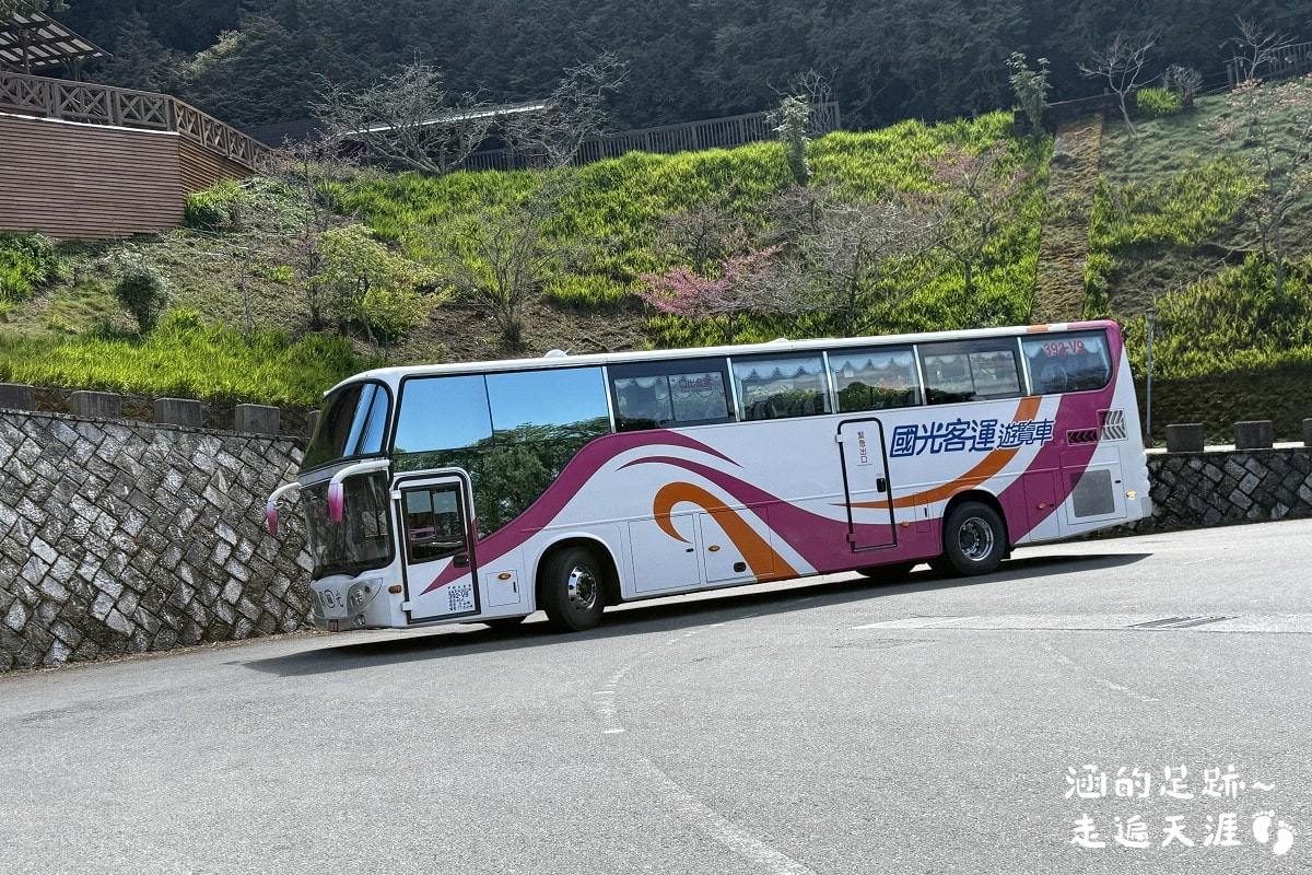 [阿里山]日出・奮起湖 阿里山夜未眠 ~ 參加國光威樂假期，24小時輕鬆遊阿里山，搭祝山小火車看日出、雲海，漫步阿里山森林遊樂區
