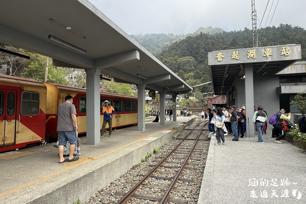 [阿里山]日出・奮起湖 阿里山夜未眠 ~ 參加國光威樂假期，24小時輕鬆遊阿里山，搭祝山小火車看日出、雲海，漫步阿里山森林遊樂區