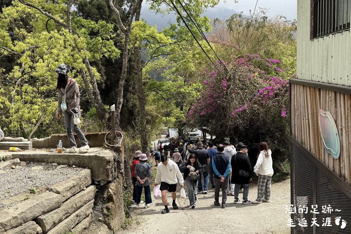[阿里山]日出・奮起湖 阿里山夜未眠 ~ 參加國光威樂假期，24小時輕鬆遊阿里山，搭祝山小火車看日出、雲海，漫步阿里山森林遊樂區