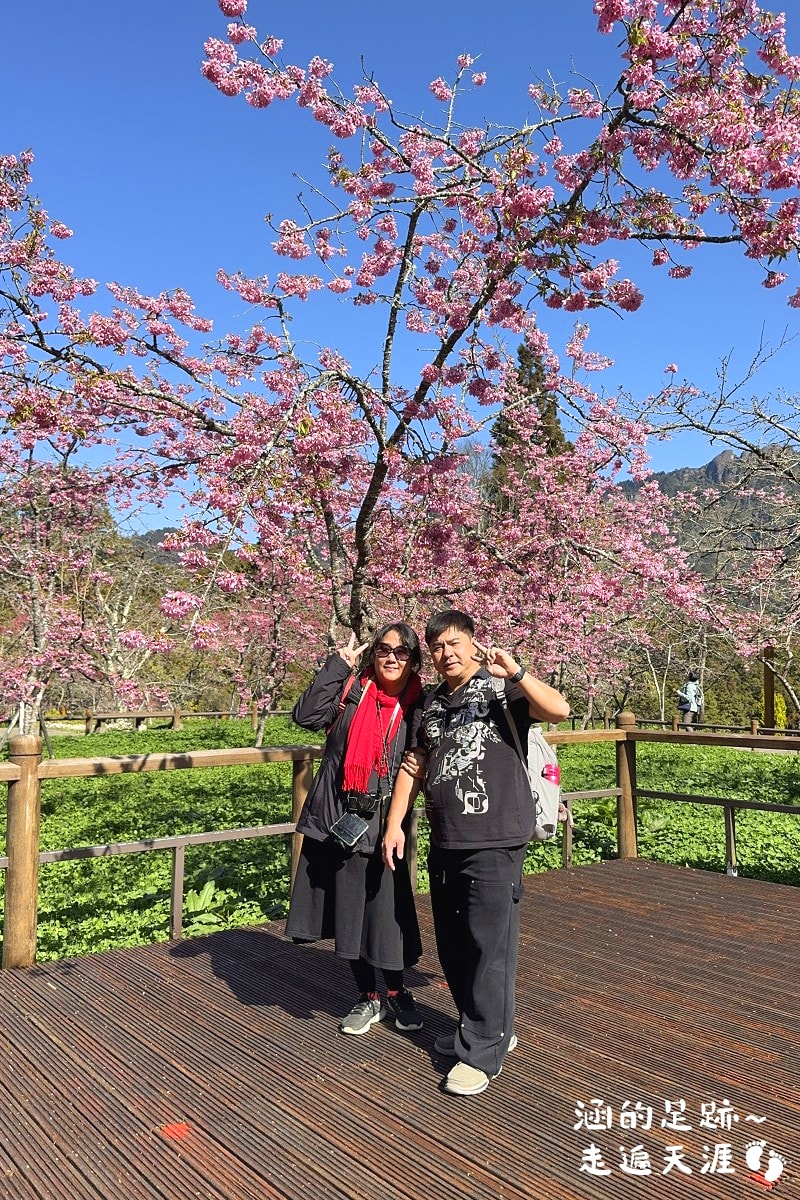 [阿里山]日出・奮起湖 阿里山夜未眠 ~ 參加國光威樂假期，24小時輕鬆遊阿里山，搭祝山小火車看日出、雲海，漫步阿里山森林遊樂區