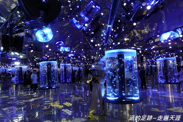 [桃園青埔] Xpark都會型水生公園 ~ 13大展區，超療癒水母、企鵝、水豚，門票交通資訊整理！