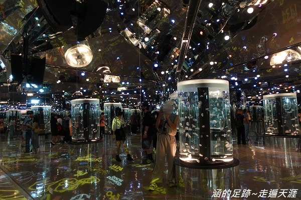 [桃園青埔] Xpark都會型水生公園 ~ 13大展區，超療癒水母、企鵝、水豚，門票交通資訊整理！