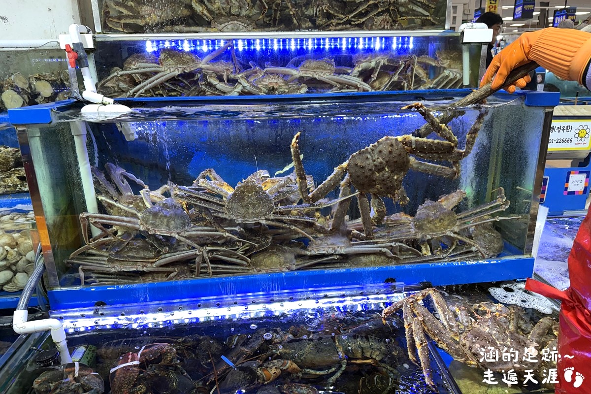 [韓國首爾] 鷺梁津水產市場 ~ 大吃活帝王蟹、松葉蟹、活章魚，一樓買海鮮，二樓代客料理，超鮮甜帝王蟹，首爾吃活海鮮的好地方